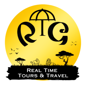 Real Time Tours Travel Logo