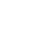 local seo